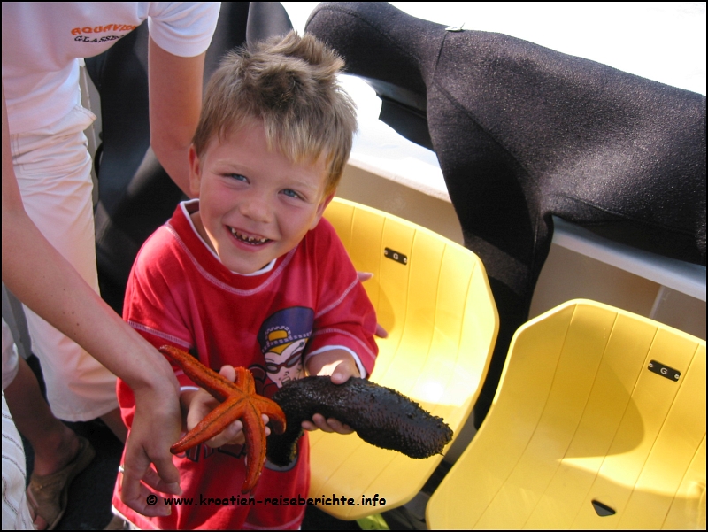 Glasbodenboot Umag Kroatien